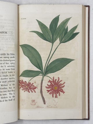American Medical Botany,