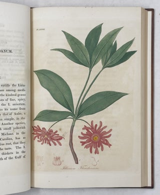 American Medical Botany,