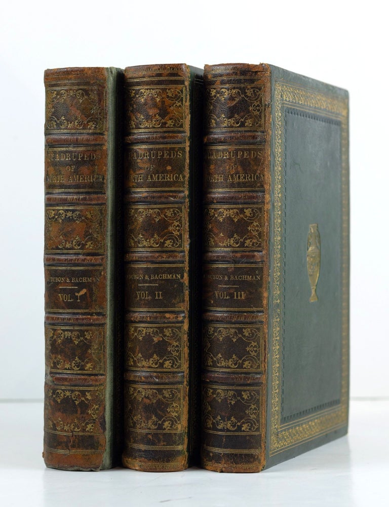 Item #GRM0017 The quadrupeds of North America. By John James Audubon, F.R.S., &c. &c. and The Rev. John Bachman, D.D., &c. &c. John James Audubon, Reverend John Bachman.