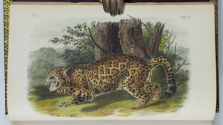 The quadrupeds of North America. By John James Audubon, F.R.S., &c. &c. and The Rev. John Bachman, D.D., &c. &c.