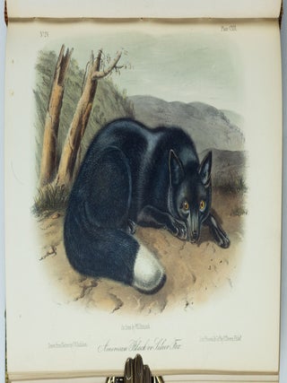 The quadrupeds of North America. By John James Audubon, F.R.S., &c. &c. and The Rev. John Bachman, D.D., &c. &c.