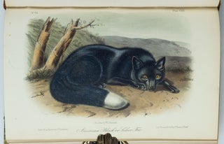 The quadrupeds of North America. By John James Audubon, F.R.S., &c. &c. and The Rev. John Bachman, D.D., &c. &c.