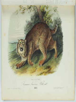 The quadrupeds of North America. By John James Audubon, F.R.S., &c. &c. and The Rev. John Bachman, D.D., &c. &c.