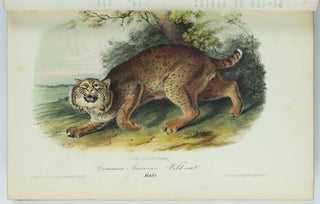 The quadrupeds of North America. By John James Audubon, F.R.S., &c. &c. and The Rev. John Bachman, D.D., &c. &c.