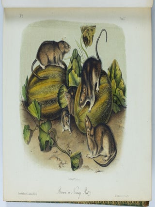 The quadrupeds of North America. By John James Audubon, F.R.S., &c. &c. and The Rev. John Bachman, D.D., &c. &c.