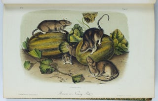 The quadrupeds of North America. By John James Audubon, F.R.S., &c. &c. and The Rev. John Bachman, D.D., &c. &c.
