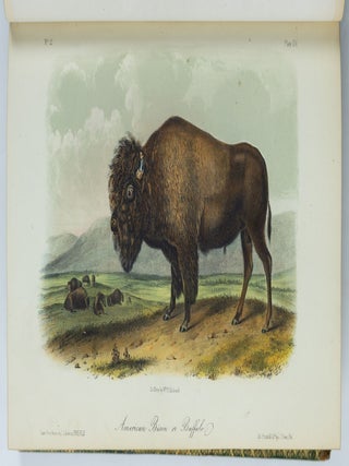 The quadrupeds of North America. By John James Audubon, F.R.S., &c. &c. and The Rev. John Bachman, D.D., &c. &c.