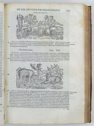 Petri Andre&aelig; Matthioli senensis Serenissimi Principis Ferdinandi Archiducis Austri&aelig; &c. Medici, commentarii secvndo avcti, in libros sex Pedacii Dioscoridis anazarbei de medica materia. Adiectis quamplurimis plantarum, & animalium imaginibus, qu&aelig; in priore editione non habentur, eodem auctore. His accessit eivsdem apologia adversvs Amathum Lusitanum: quin & Censura in eiusdem enarrationes. Cum Pont. Max. Caes. Maiestatis, Christianiss. Galliarum Regis, ac Illustriss. Senatus Veneti Gratia, & Priuilegio