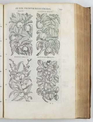 Petri Andreæ Matthioli senensis Serenissimi Principis Ferdinandi Archiducis Austriæ &c. Medici, commentarii secvndo avcti, in libros sex Pedacii Dioscoridis anazarbei de medica materia. Adiectis quamplurimis plantarum, & animalium imaginibus, quæ in priore editione non habentur, eodem auctore. His accessit eivsdem apologia adversvs Amathum Lusitanum: quin & Censura in eiusdem enarrationes. Cum Pont. Max. Caes. Maiestatis, Christianiss. Galliarum Regis, ac Illustriss. Senatus Veneti Gratia, & Priuilegio