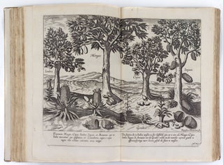 Itinerarium, Ofte Schip-vaert naer Dost ofte Portugaels Indien. Inhoudende een beschrijvinghe dier Landen, Zee-kusten, havens, Rivieren, Hoecken ende plaetsen, met de gedenck-weerdighste Historien der selver, Hier zijn by ghevoeght de Conterfeytsels van de Habijten ofte Drachten, so van de Portugesen aldaer residerende, als van de in-ghebooren Indianen
