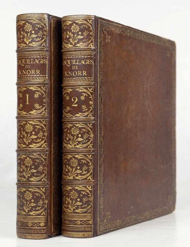 Les delices des yeux et de l&rsquo;espirit, ou collection generale des differentes especes de. George Wolfgang Knorr.
