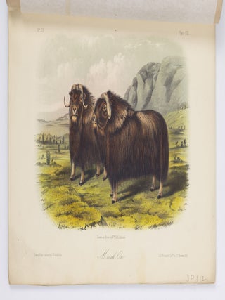 The quadrupeds of North America by John James Audubon, F.R.S., &c. &c. and the Rev. John Bachman, D.D., &c. &c.