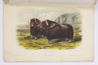 The quadrupeds of North America by John James Audubon, F.R.S., &c. &c. and the Rev. John Bachman, D.D., &c. &c.