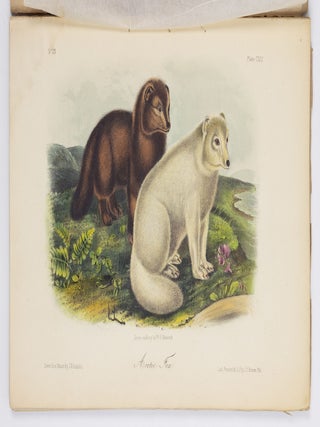 The quadrupeds of North America by John James Audubon, F.R.S., &c. &c. and the Rev. John Bachman, D.D., &c. &c.