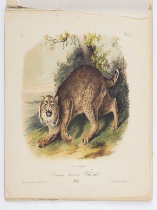 The quadrupeds of North America by John James Audubon, F.R.S., &c. &c. and the Rev. John Bachman, D.D., &c. &c.