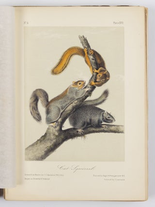 The quadrupeds of North America by John James Audubon, F.R.S., &c. &c. and the Rev. John Bachman, D.D., &c. &c.