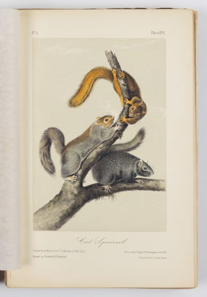 The quadrupeds of North America by John James Audubon, F.R.S., &c. &c. and the Rev. John Bachman, D.D., &c. &c.