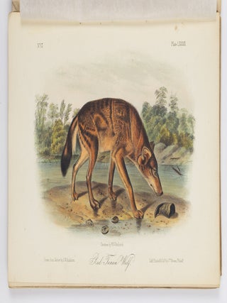 The quadrupeds of North America by John James Audubon, F.R.S., &c. &c. and the Rev. John Bachman, D.D., &c. &c.