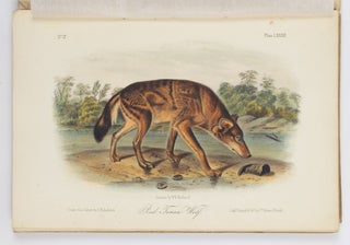 The quadrupeds of North America by John James Audubon, F.R.S., &c. &c. and the Rev. John Bachman, D.D., &c. &c.