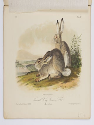 The quadrupeds of North America by John James Audubon, F.R.S., &c. &c. and the Rev. John Bachman, D.D., &c. &c.