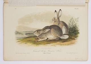 The quadrupeds of North America by John James Audubon, F.R.S., &c. &c. and the Rev. John Bachman, D.D., &c. &c.