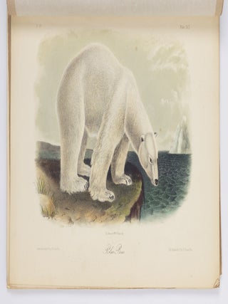 The quadrupeds of North America by John James Audubon, F.R.S., &c. &c. and the Rev. John Bachman, D.D., &c. &c.