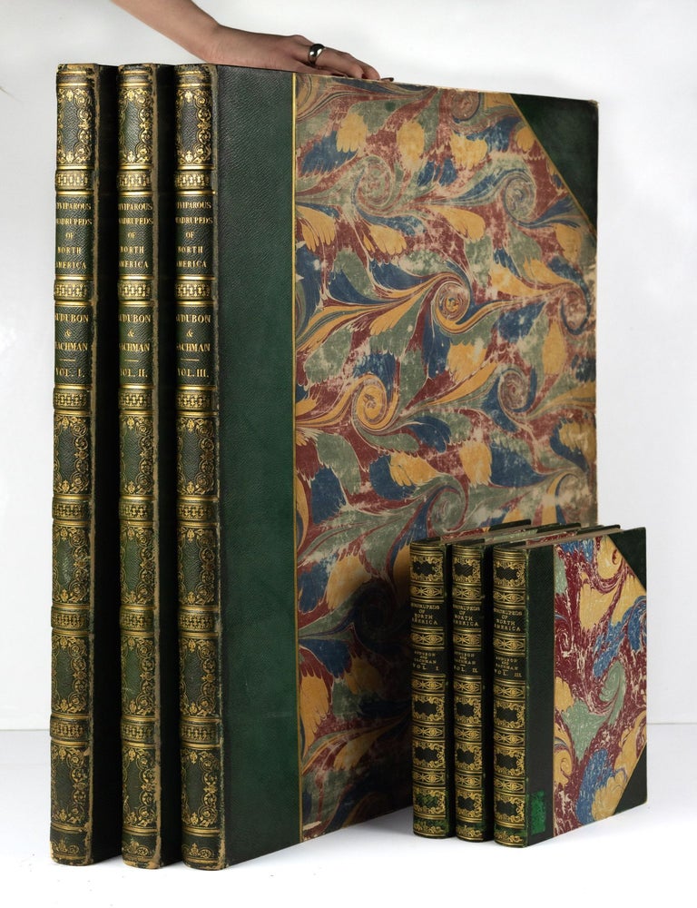 Item #GRM0050 The viviparous quadrupeds of North America. By John James Audubon, F.R.S., &c., &c. and the Rev. John Bachman, D.D., &c., &c. Vol. I. [-Vol. II, Vol. III]. John James Audubon, Rev. John Bachman.
