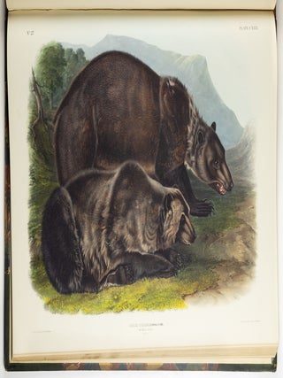 The viviparous quadrupeds of North America. By John James Audubon, F.R.S., &c., &c. and the Rev. John Bachman, D.D., &c., &c. Vol. I. [-Vol. II, Vol. III].