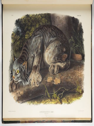 The viviparous quadrupeds of North America. By John James Audubon, F.R.S., &c., &c. and the Rev. John Bachman, D.D., &c., &c. Vol. I. [-Vol. II, Vol. III].