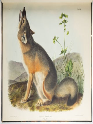 The viviparous quadrupeds of North America. By John James Audubon, F.R.S., &c., &c. and the Rev. John Bachman, D.D., &c., &c. Vol. I. [-Vol. II, Vol. III].