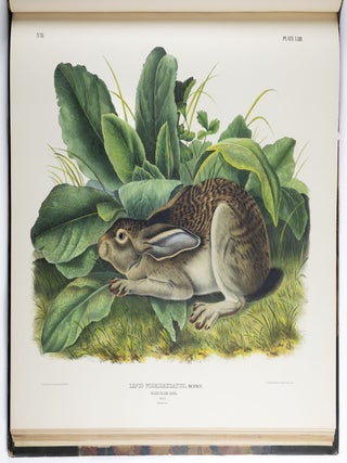 The viviparous quadrupeds of North America. By John James Audubon, F.R.S., &c., &c. and the Rev. John Bachman, D.D., &c., &c. Vol. I. [-Vol. II, Vol. III].