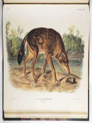 The viviparous quadrupeds of North America. By John James Audubon, F.R.S., &c., &c. and the Rev. John Bachman, D.D., &c., &c. Vol. I. [-Vol. II, Vol. III].