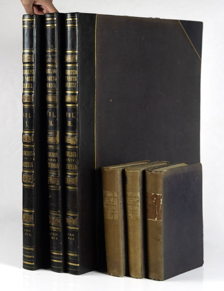 Item #GRM0053 The viviparous quadrupeds of North America. By John James Audubon, F.R.S., &c., &c. and the Rev. John Bachman, D.D., &c., &c. Vol. I. [-Vol. II, Vol. III]. John James Audubon, Rev. John Bachman.