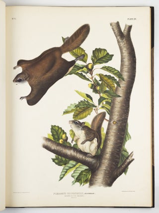The viviparous quadrupeds of North America. By John James Audubon, F.R.S., &c., &c. and the Rev. John Bachman, D.D., &c., &c. Vol. I. [-Vol. II, Vol. III].