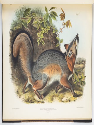 The viviparous quadrupeds of North America. By John James Audubon, F.R.S., &c., &c. and the Rev. John Bachman, D.D., &c., &c. Vol. I. [-Vol. II, Vol. III].