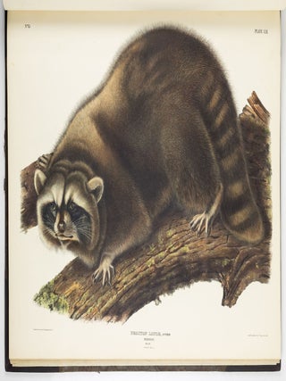 The viviparous quadrupeds of North America. By John James Audubon, F.R.S., &c., &c. and the Rev. John Bachman, D.D., &c., &c. Vol. I. [-Vol. II, Vol. III].