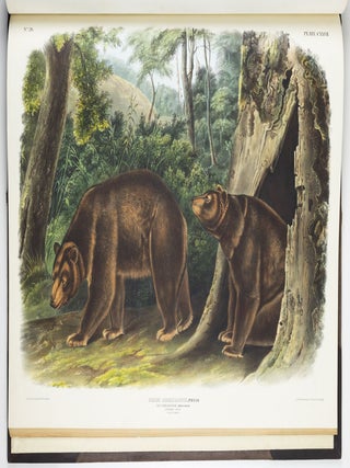 The viviparous quadrupeds of North America. By John James Audubon, F.R.S., &c., &c. and the Rev. John Bachman, D.D., &c., &c. Vol. I. [-Vol. II, Vol. III].