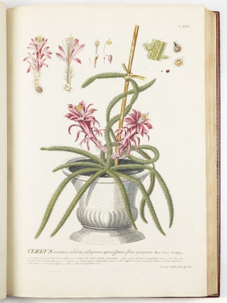 Plantae selectae qvarvm imagines ad exemplaria natvralia Londini in hortis cvriosorvm nvtrita manv artificiosa doctaque pinxit Geogivs Dionysivs Ehret Germanvs occasione havd vvlgari collegit nominibvs propriis notisqve svbinde illvstravit et pvblico vsvi dicavit D. Christophorvs Iacobvs Trevv medicvs Norimbergensis in aes incidit et vivis coloribvs repr&aelig;sentavit Ioannes Iacobvs Haid pictor et chalcographvs avgvstanvs