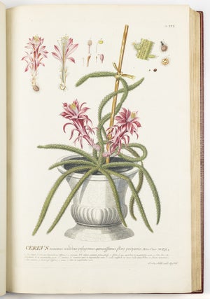 Plantae selectae qvarvm imagines ad exemplaria natvralia Londini in hortis cvriosorvm nvtrita manv artificiosa doctaque pinxit Geogivs Dionysivs Ehret Germanvs occasione havd vvlgari collegit nominibvs propriis notisqve svbinde illvstravit et pvblico vsvi dicavit D. Christophorvs Iacobvs Trevv medicvs Norimbergensis in aes incidit et vivis coloribvs repræsentavit Ioannes Iacobvs Haid pictor et chalcographvs avgvstanvs