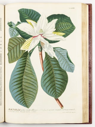 Plantae selectae qvarvm imagines ad exemplaria natvralia Londini in hortis cvriosorvm nvtrita manv artificiosa doctaque pinxit Geogivs Dionysivs Ehret Germanvs occasione havd vvlgari collegit nominibvs propriis notisqve svbinde illvstravit et pvblico vsvi dicavit D. Christophorvs Iacobvs Trevv medicvs Norimbergensis in aes incidit et vivis coloribvs repr&aelig;sentavit Ioannes Iacobvs Haid pictor et chalcographvs avgvstanvs