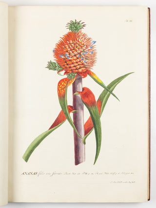 Plantae selectae qvarvm imagines ad exemplaria natvralia Londini in hortis cvriosorvm nvtrita manv artificiosa doctaque pinxit Geogivs Dionysivs Ehret Germanvs occasione havd vvlgari collegit nominibvs propriis notisqve svbinde illvstravit et pvblico vsvi dicavit D. Christophorvs Iacobvs Trevv medicvs Norimbergensis in aes incidit et vivis coloribvs repr&aelig;sentavit Ioannes Iacobvs Haid pictor et chalcographvs avgvstanvs