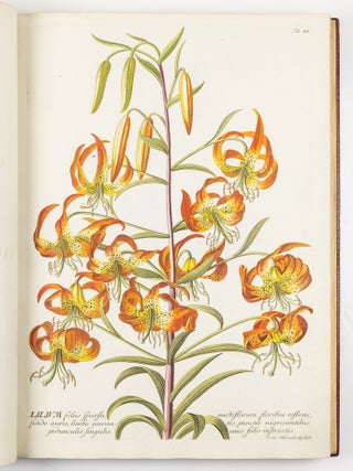 Plantae selectae qvarvm imagines ad exemplaria natvralia Londini in hortis cvriosorvm nvtrita manv artificiosa doctaque pinxit Geogivs Dionysivs Ehret Germanvs occasione havd vvlgari collegit nominibvs propriis notisqve svbinde illvstravit et pvblico vsvi dicavit D. Christophorvs Iacobvs Trevv medicvs Norimbergensis in aes incidit et vivis coloribvs repr&aelig;sentavit Ioannes Iacobvs Haid pictor et chalcographvs avgvstanvs