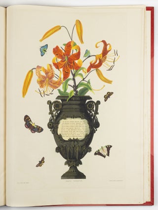 A Selection of Hexandrian Plants Belonging to the Natural Orders Amaryllid&aelig; and Liliac&aelig; From Drawings by Mrs. Edward Bury, Liverpool. Engraved by R. Havell. This Work is most respectfully dedicated To Her Royal Highness Princess Victoria by her Obedient humble Servant. Rob.t Havell