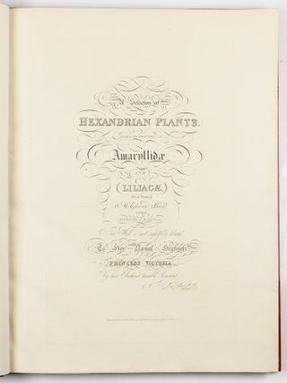 A Selection of Hexandrian Plants Belonging to the Natural Orders Amaryllidæ and Liliacæ From Drawings by Mrs. Edward Bury, Liverpool. Engraved by R. Havell. This Work is most respectfully dedicated To Her Royal Highness Princess Victoria by her Obedient humble Servant. Rob.t Havell