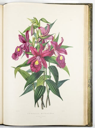 The Orchidaceæ of Mexico & Guatemala by Ja.s Bateman, Esq.re “Like restless serpents, clothed in rainbow and fire, the parasites, starred with ten thousand blossoms flow around the grey trunks” Shelley