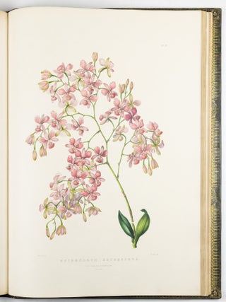 The Orchidace&aelig; of Mexico & Guatemala by Ja.s Bateman, Esq.re &ldquo;Like restless serpents, clothed in rainbow and fire, the parasites, starred with ten thousand blossoms flow around the grey trunks&rdquo; Shelley