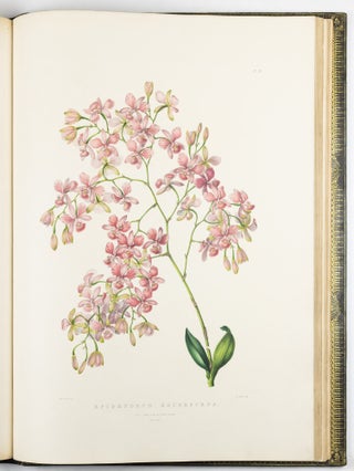The Orchidaceæ of Mexico & Guatemala by Ja.s Bateman, Esq.re “Like restless serpents, clothed in rainbow and fire, the parasites, starred with ten thousand blossoms flow around the grey trunks” Shelley