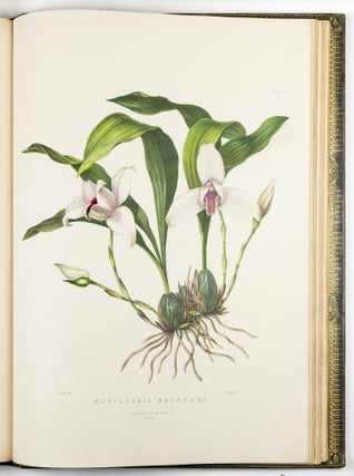 The Orchidaceæ of Mexico & Guatemala by Ja.s Bateman, Esq.re “Like restless serpents, clothed in rainbow and fire, the parasites, starred with ten thousand blossoms flow around the grey trunks” Shelley