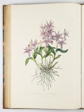 The Orchidace&aelig; of Mexico & Guatemala by Ja.s Bateman, Esq.re &ldquo;Like restless serpents, clothed in rainbow and fire, the parasites, starred with ten thousand blossoms flow around the grey trunks&rdquo; Shelley
