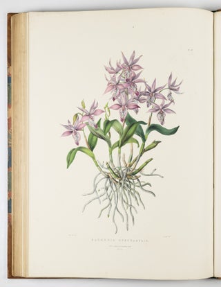 The Orchidaceæ of Mexico & Guatemala by Ja.s Bateman, Esq.re “Like restless serpents, clothed in rainbow and fire, the parasites, starred with ten thousand blossoms flow around the grey trunks” Shelley